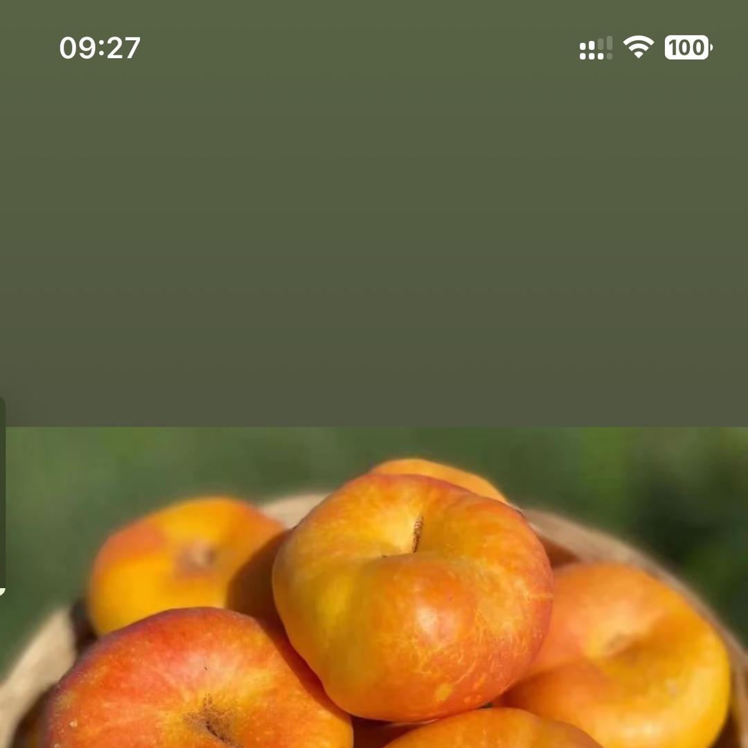蓮相禾（农产品）团队招人