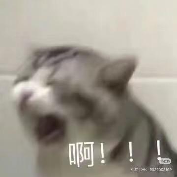 老王～～～