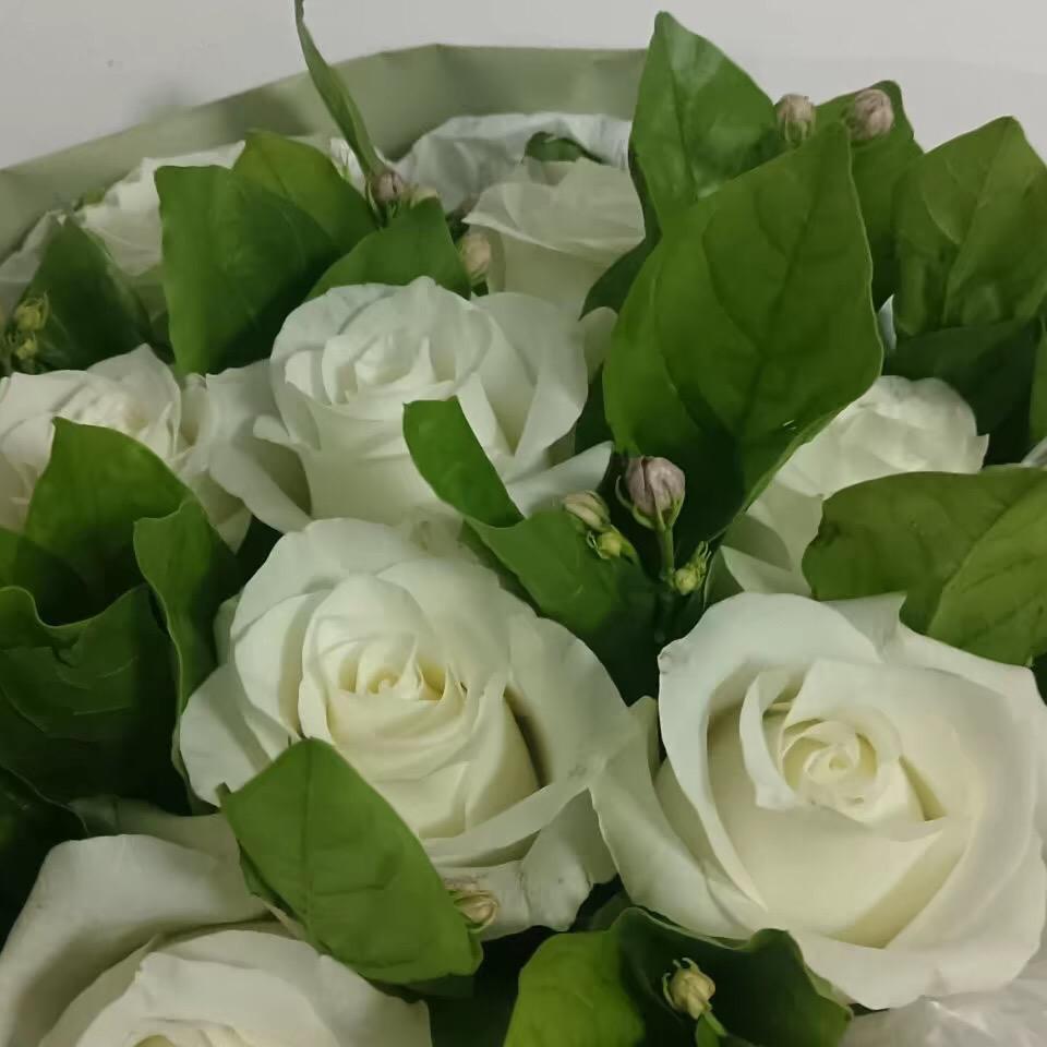 缘份，有缘才有份