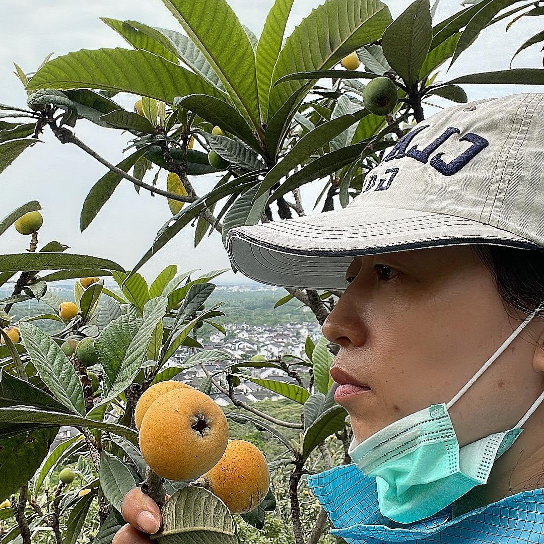 东山童童