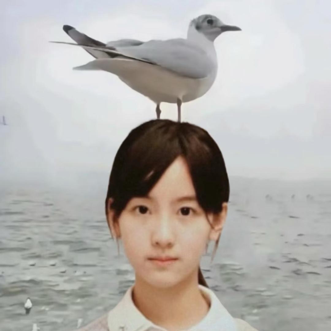 开心果