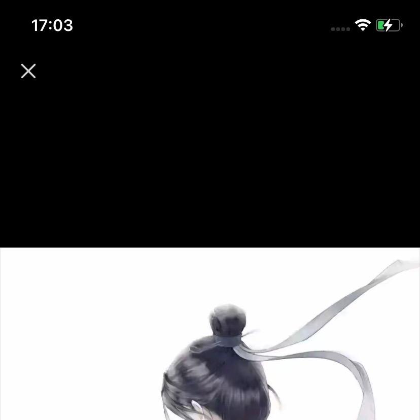 念道风风