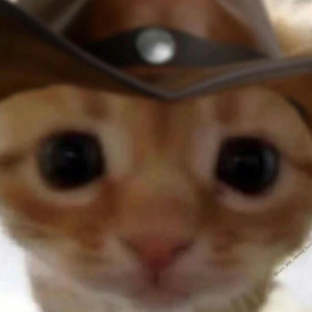 狮孖