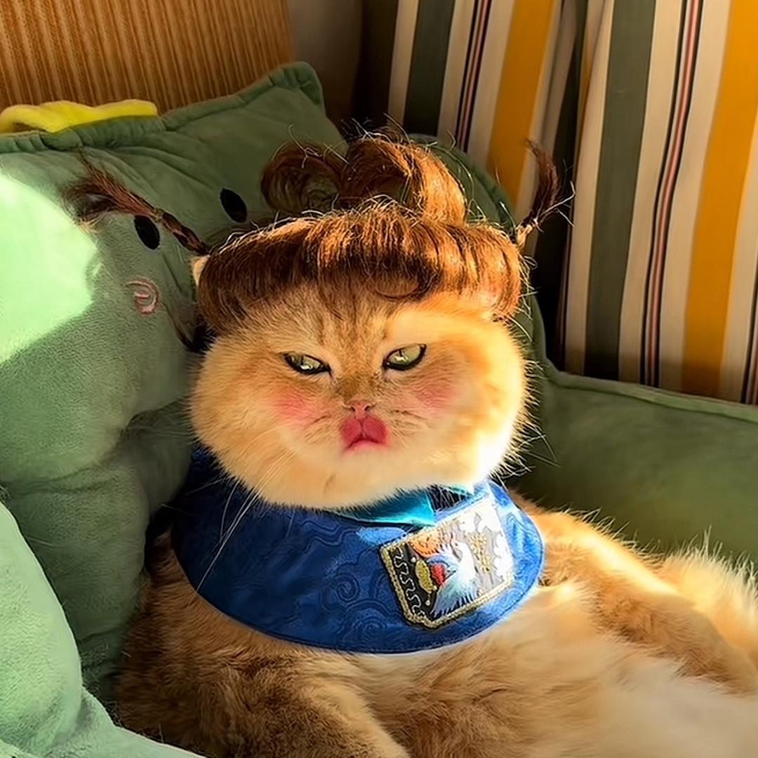 芬达