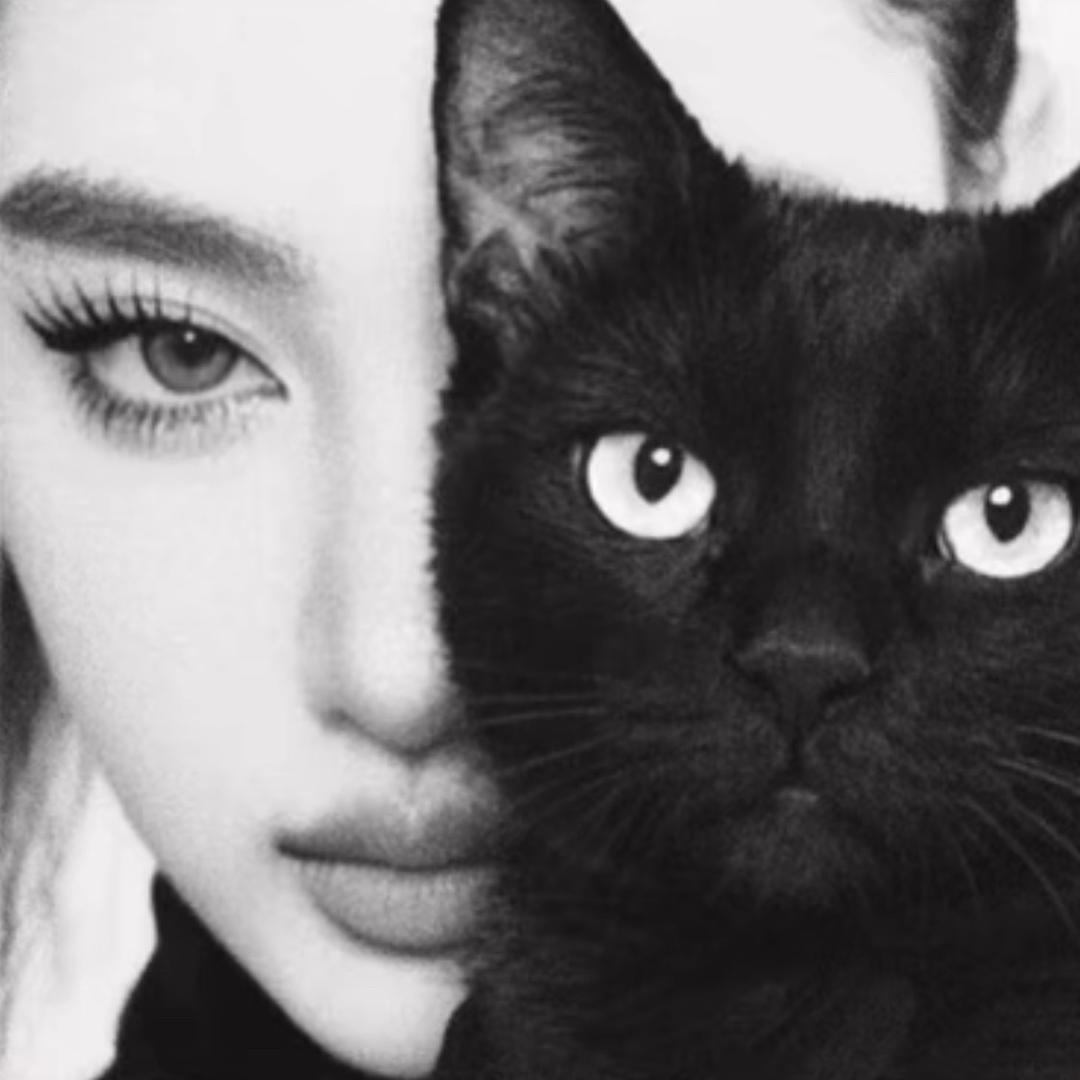 混过社会挨过打.