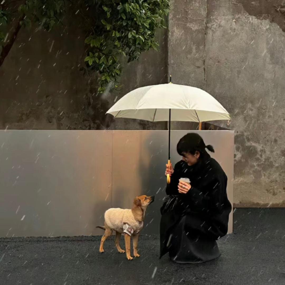 记住小样
