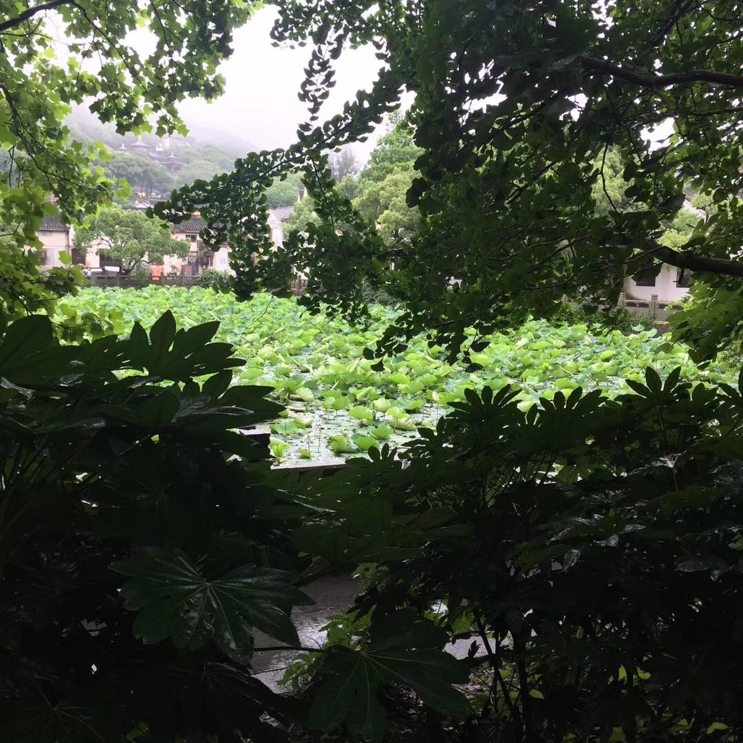 常惠家纺
