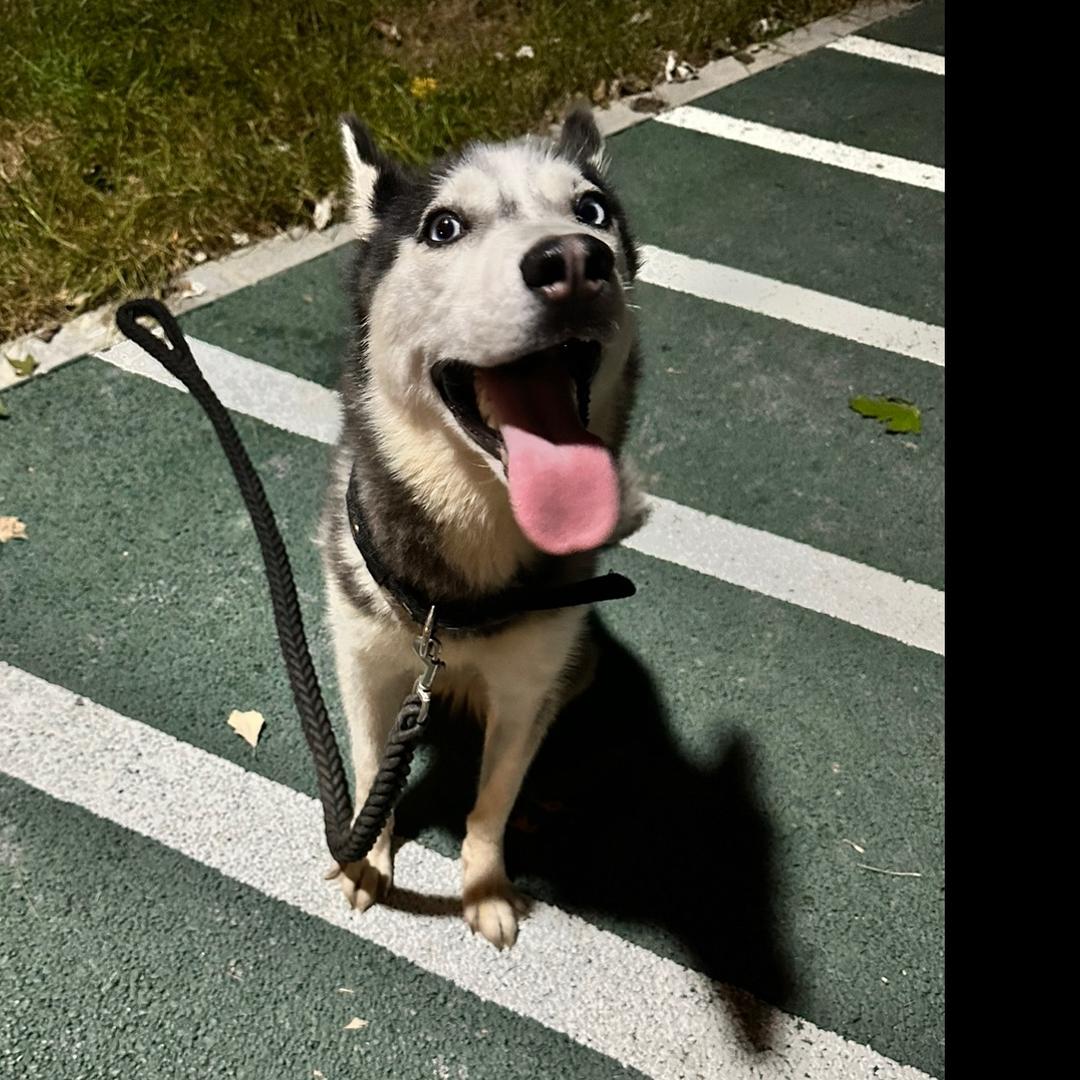 微星🍷
