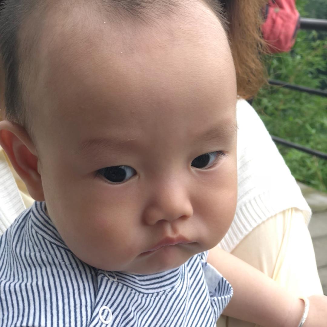 辰妤萝雁头像