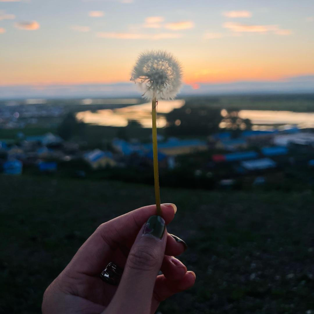她们都喊我刘师傅