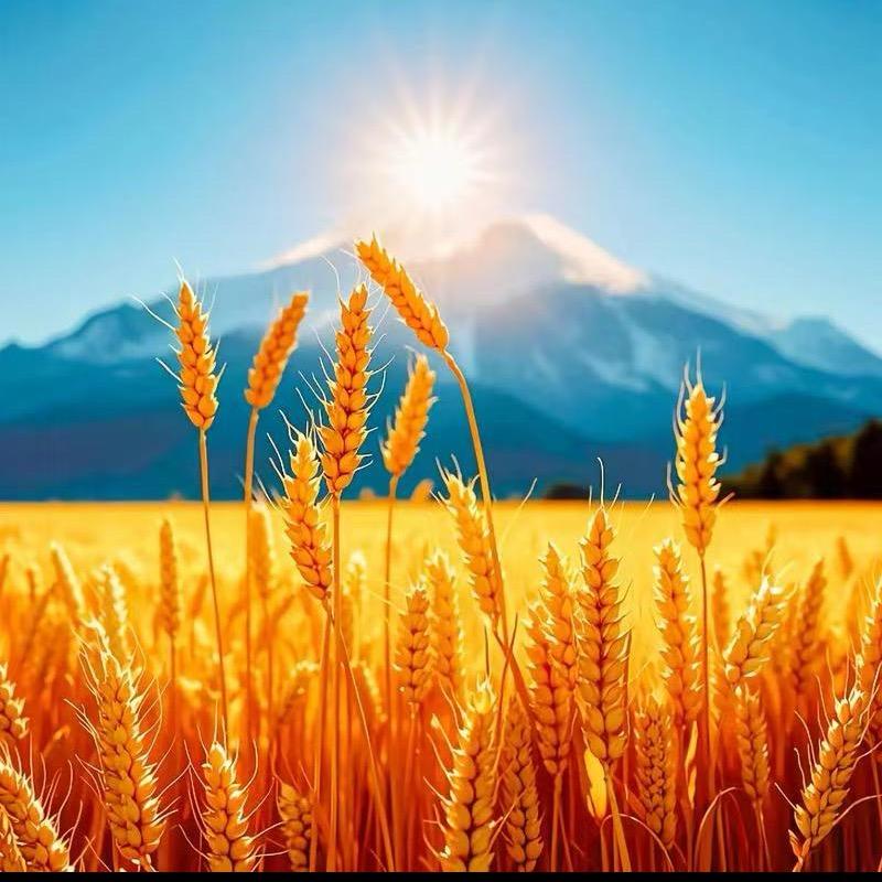 ꧔: 🚬⃟拼搏大叔²⁰²⁵