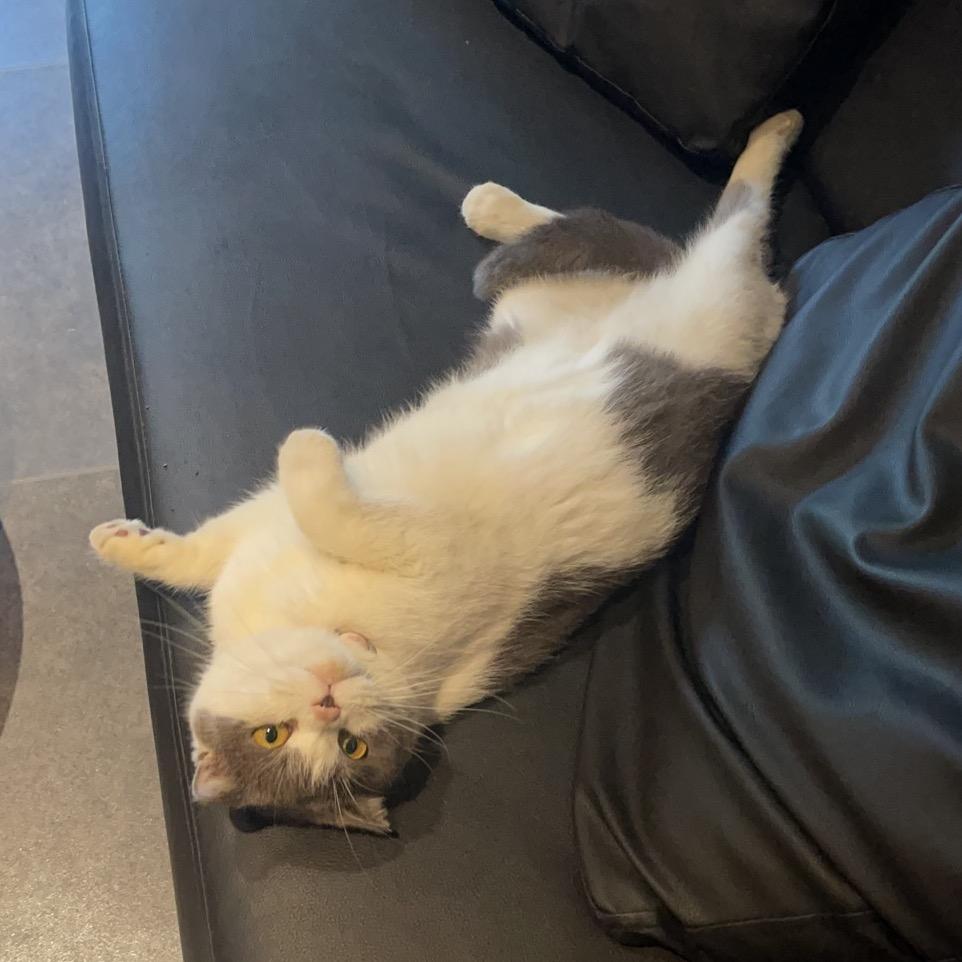 井字咖啡横栏店