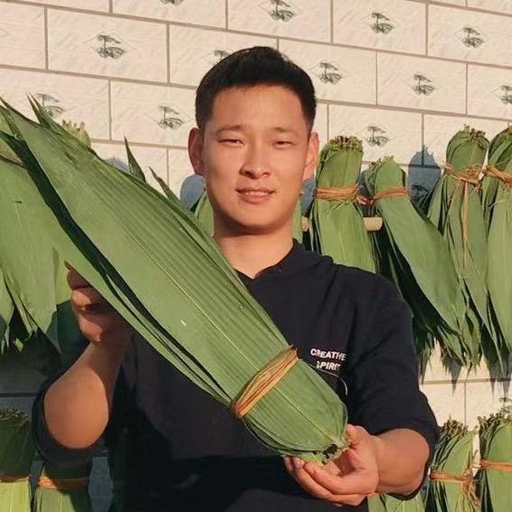 越南粽叶批发 粽叶王-王帅