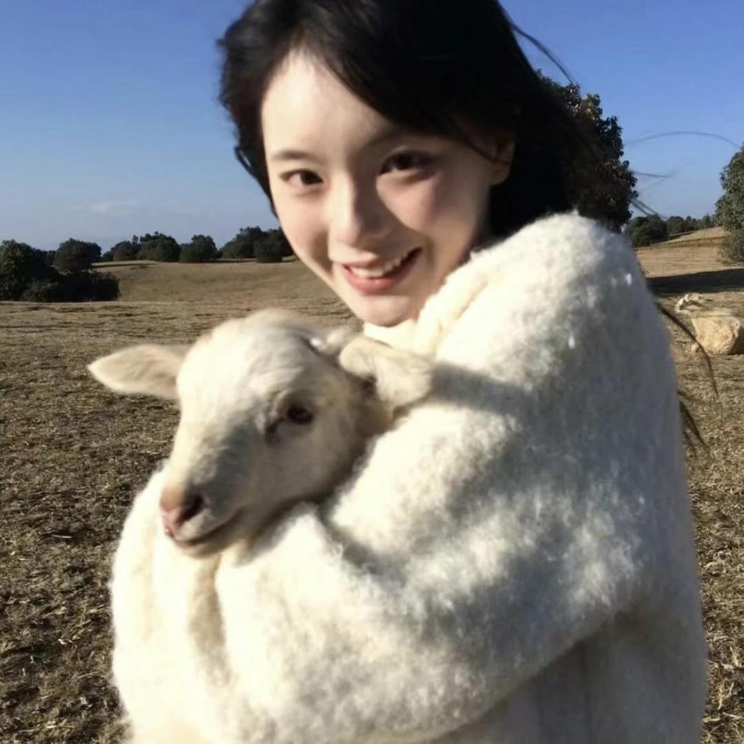 小羊羔