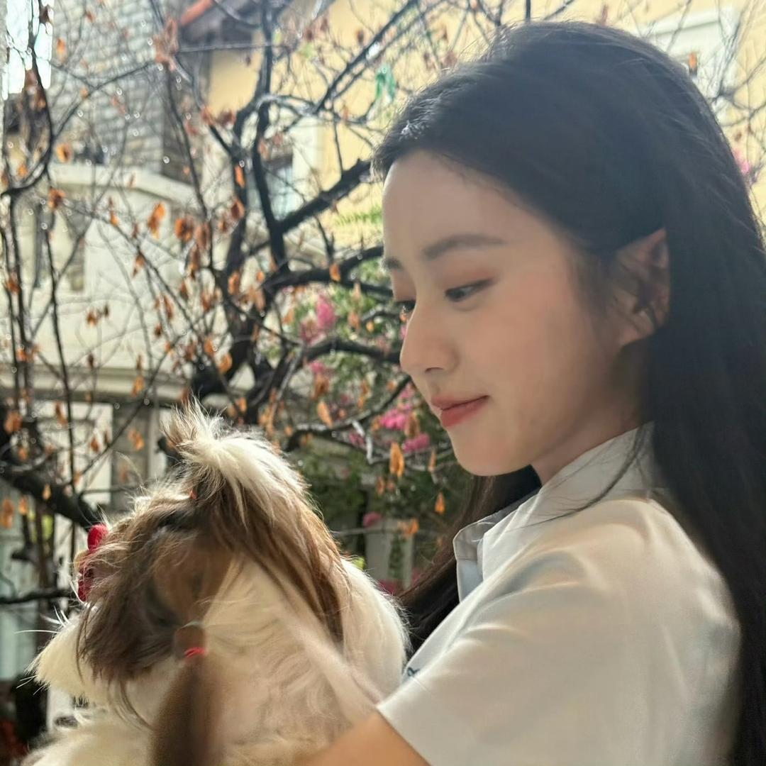 芸芸