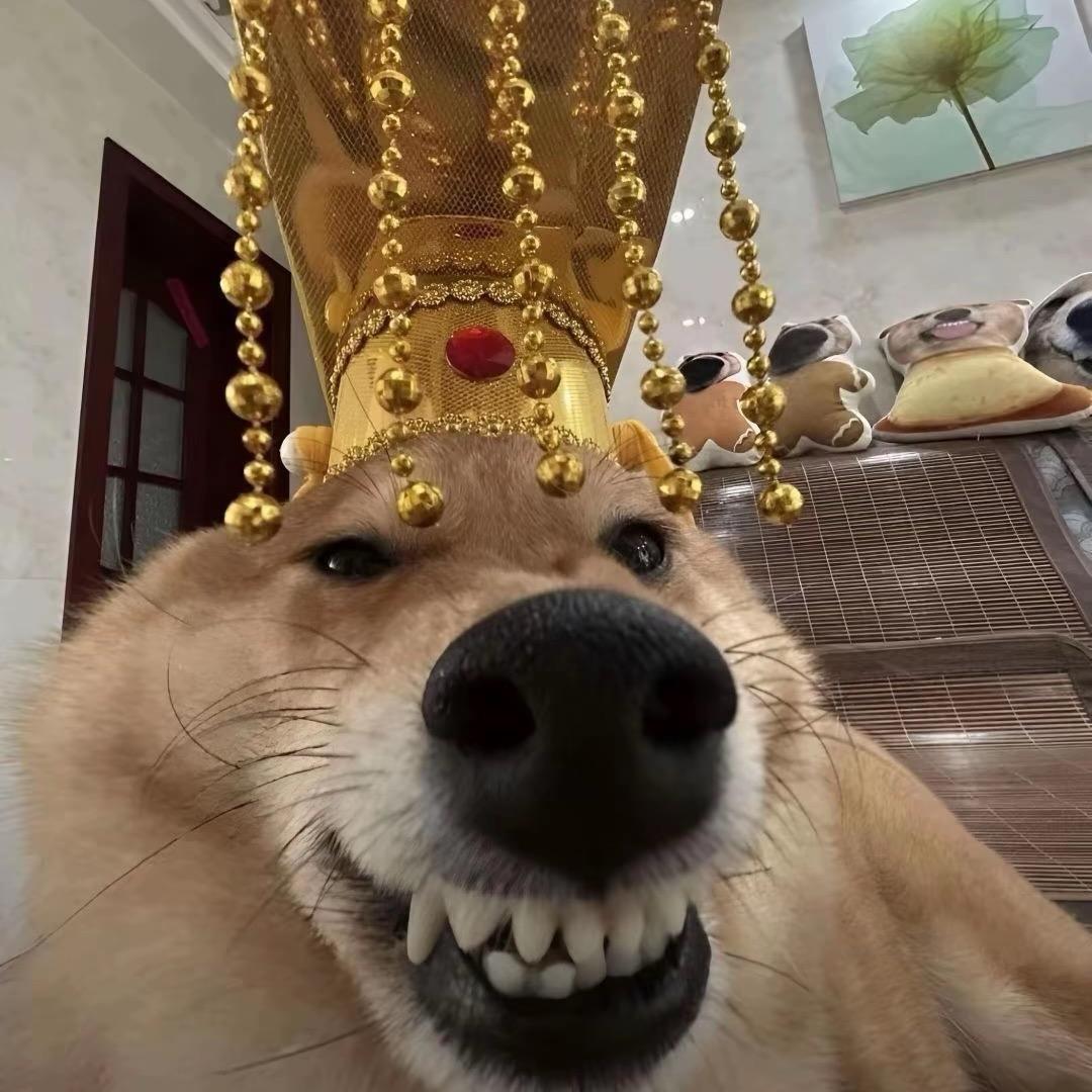 蛇