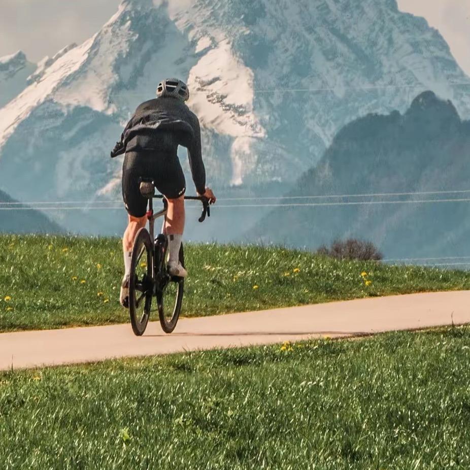 飞鸽自行车工厂店