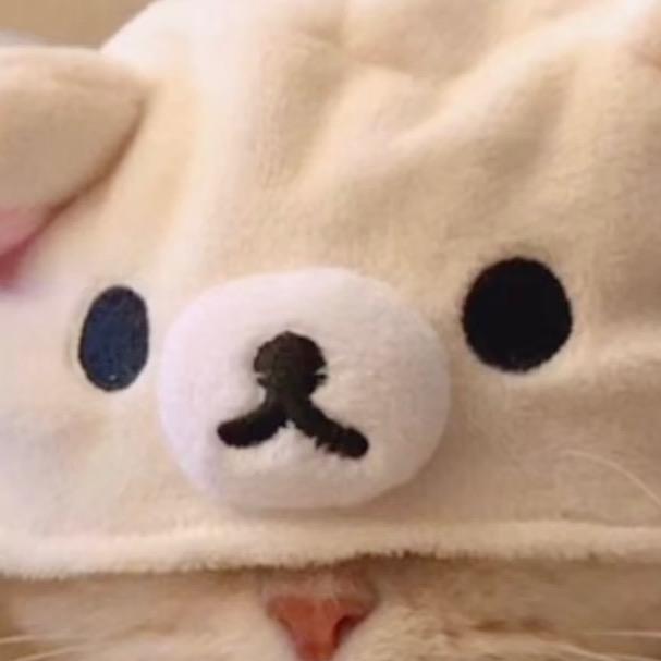 ʕ •ᴥ•ʔ