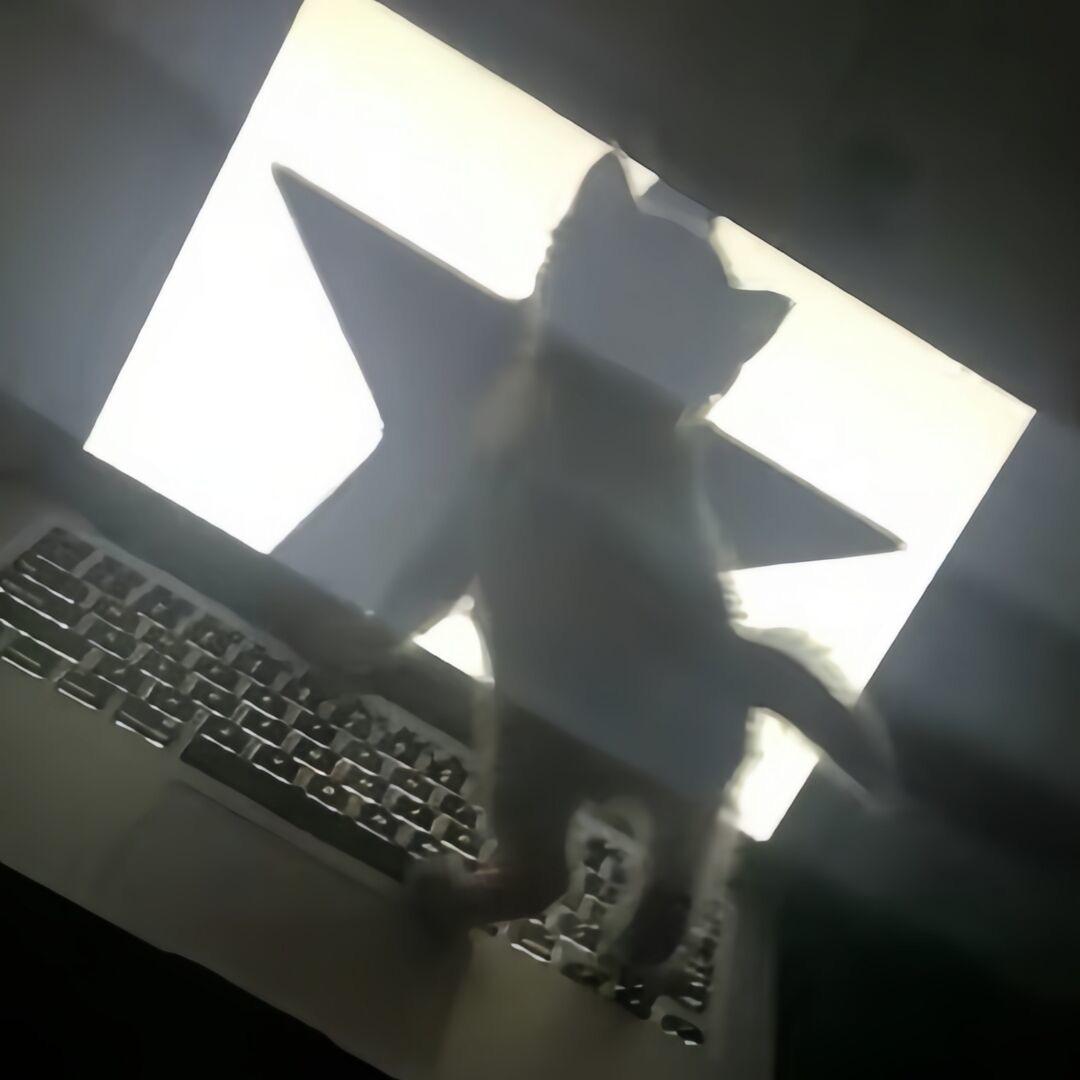 凌乱弦音