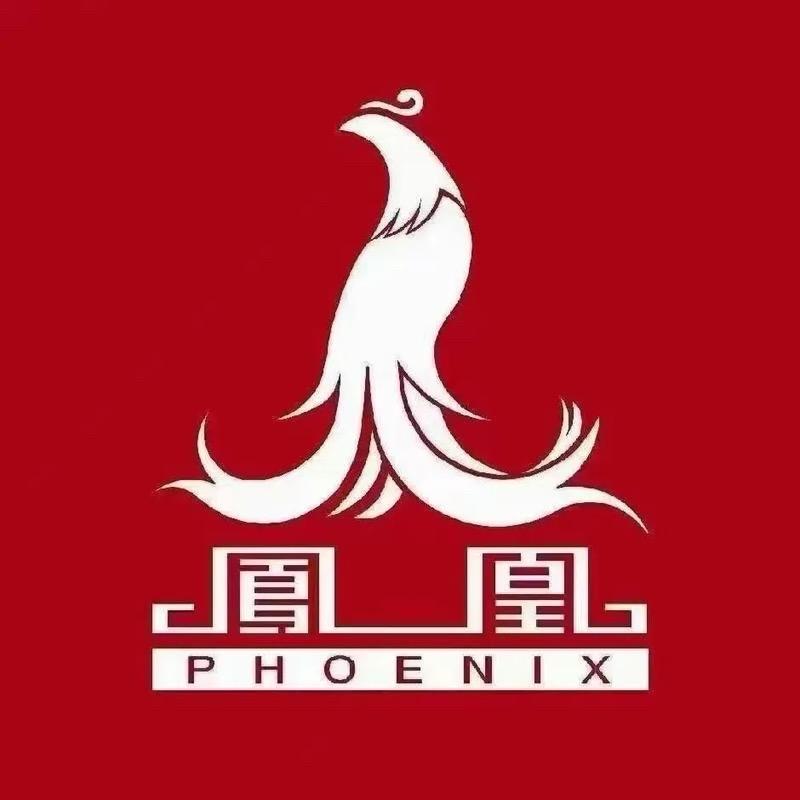凤凰牌电动车工厂 刘总 直播号