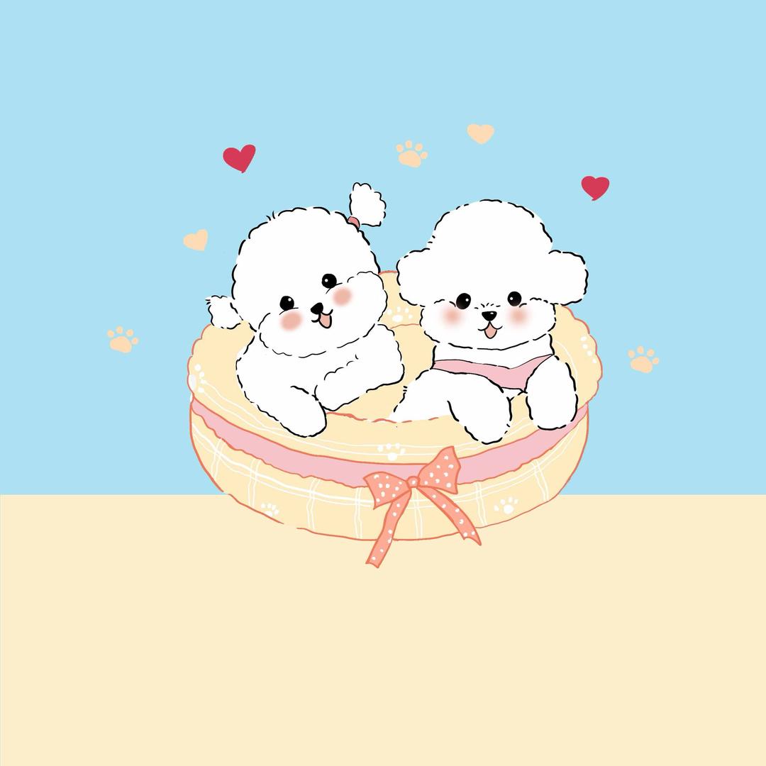 安然的熊