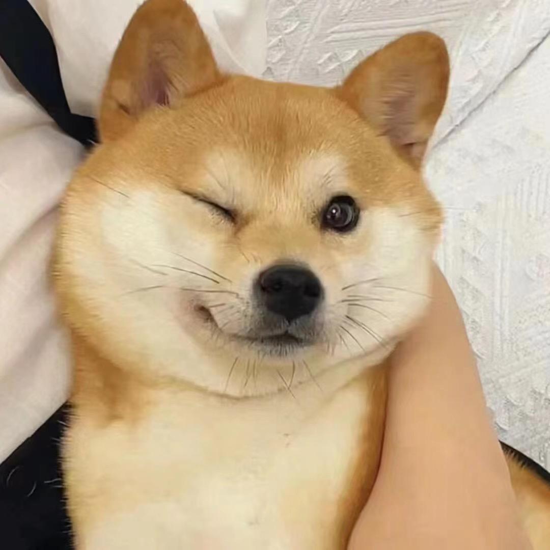 合诺高老师