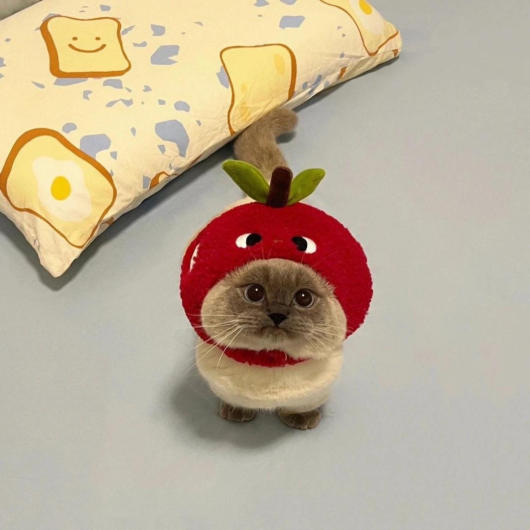 旺旺小仙๑҉