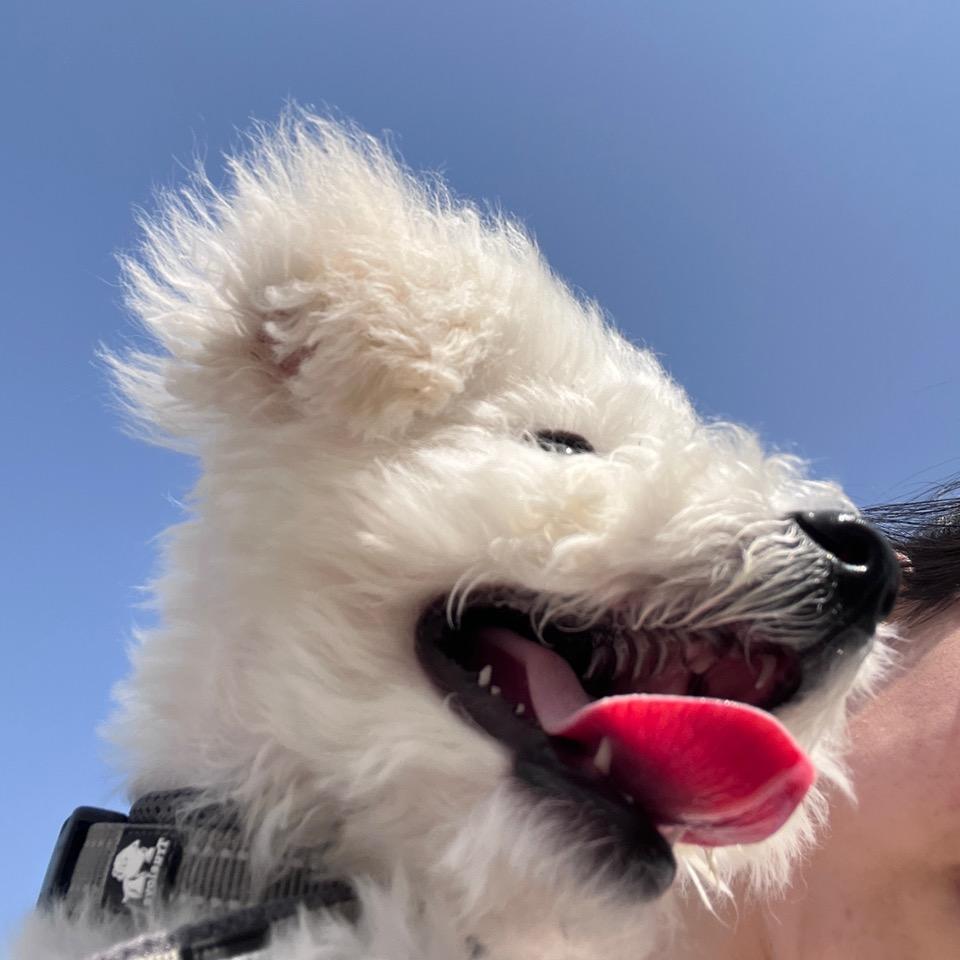 妮妮妮妮妮妮