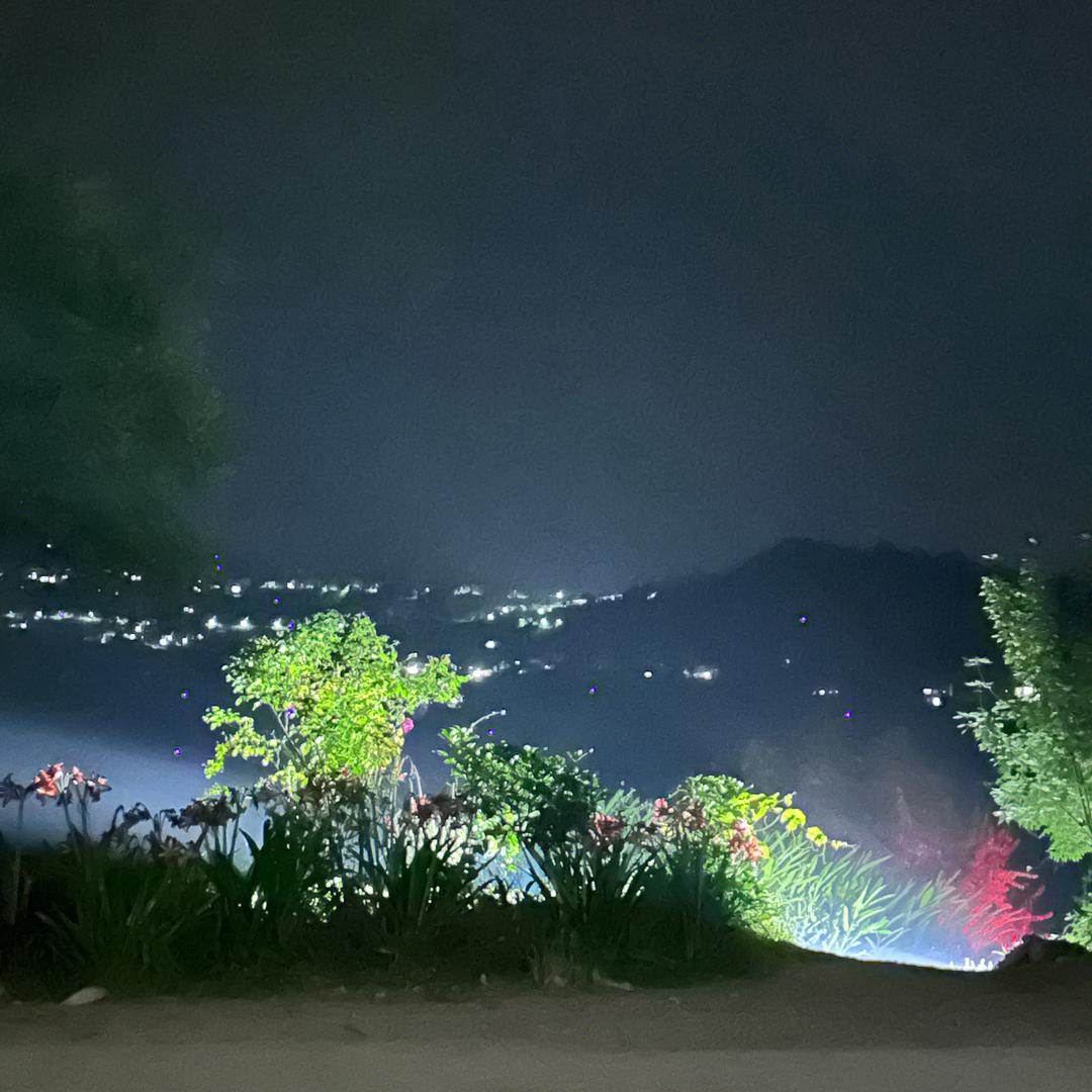 南栀