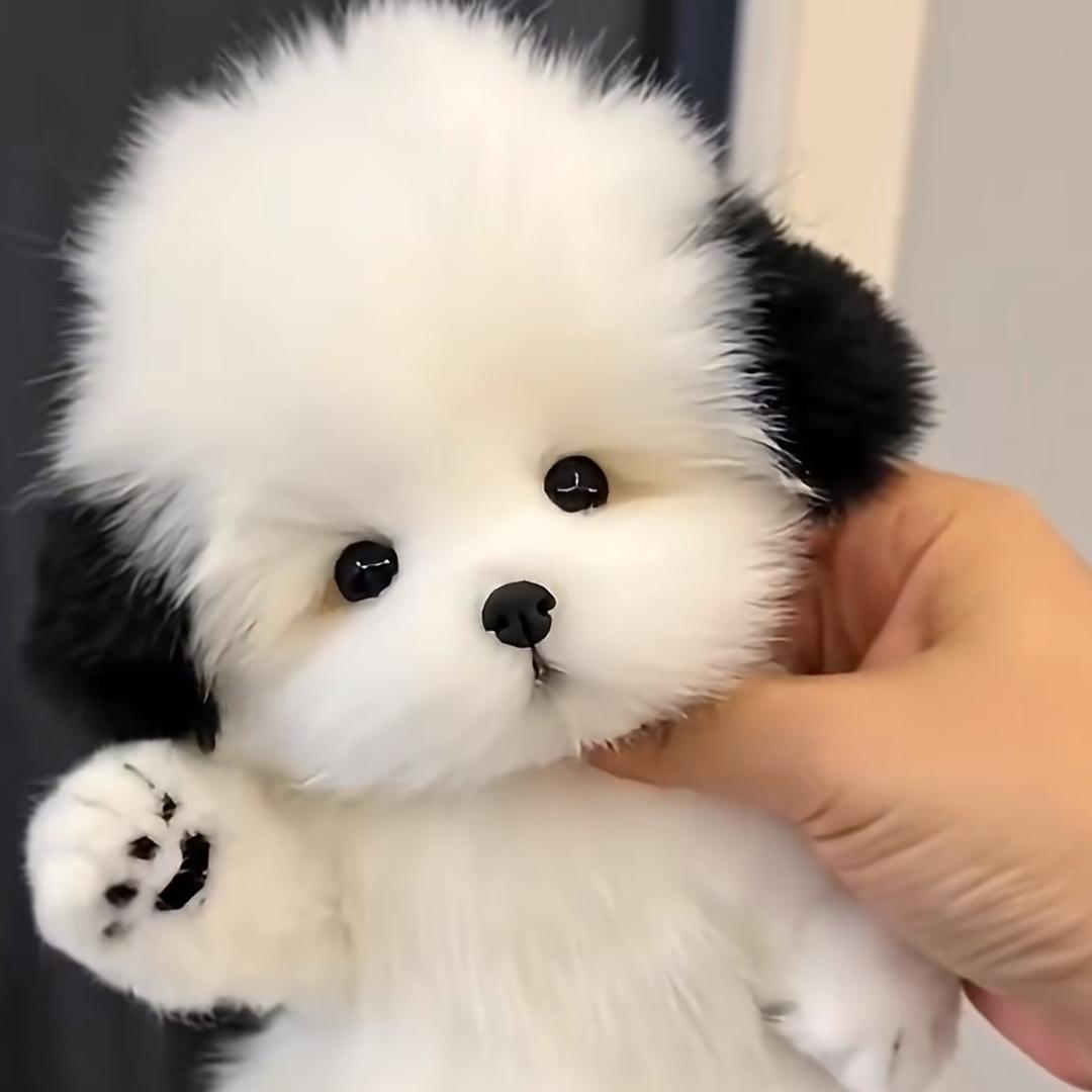 SunShine         ！