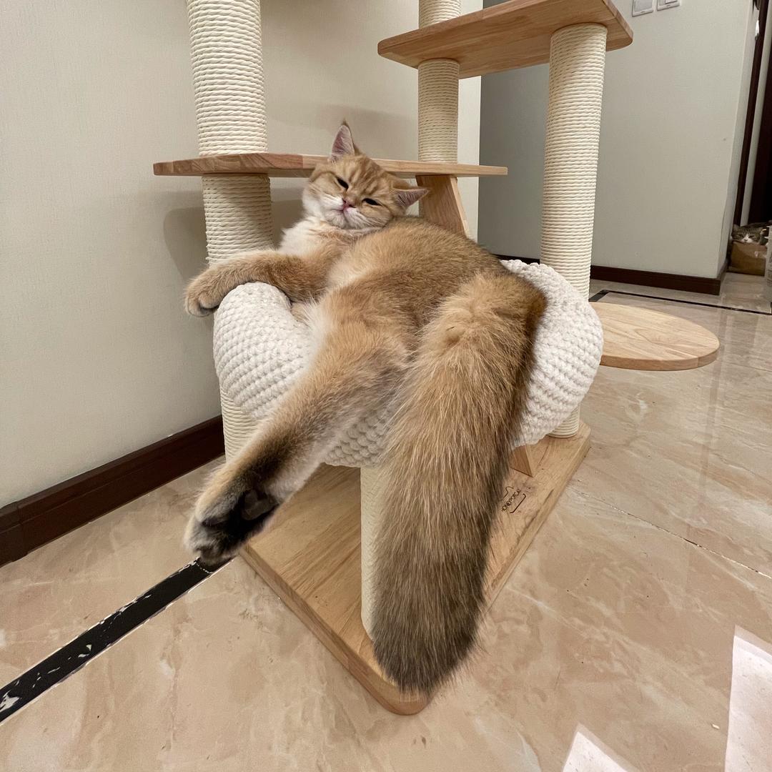 纯牛奶里面没有奶