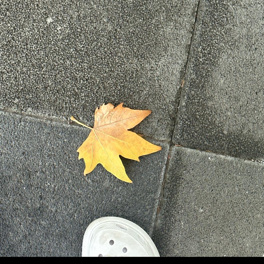 琳哒