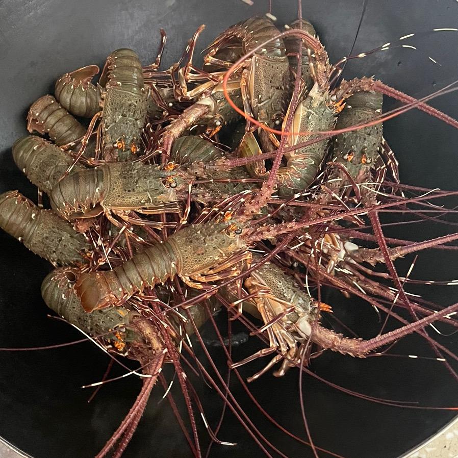 龙龙