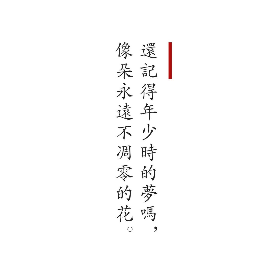 渔夫帽