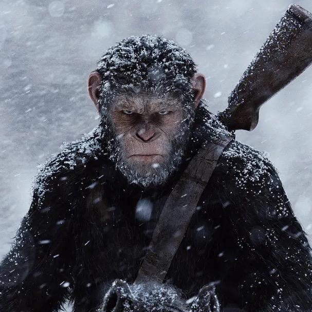 🏍️ 💨💨💨