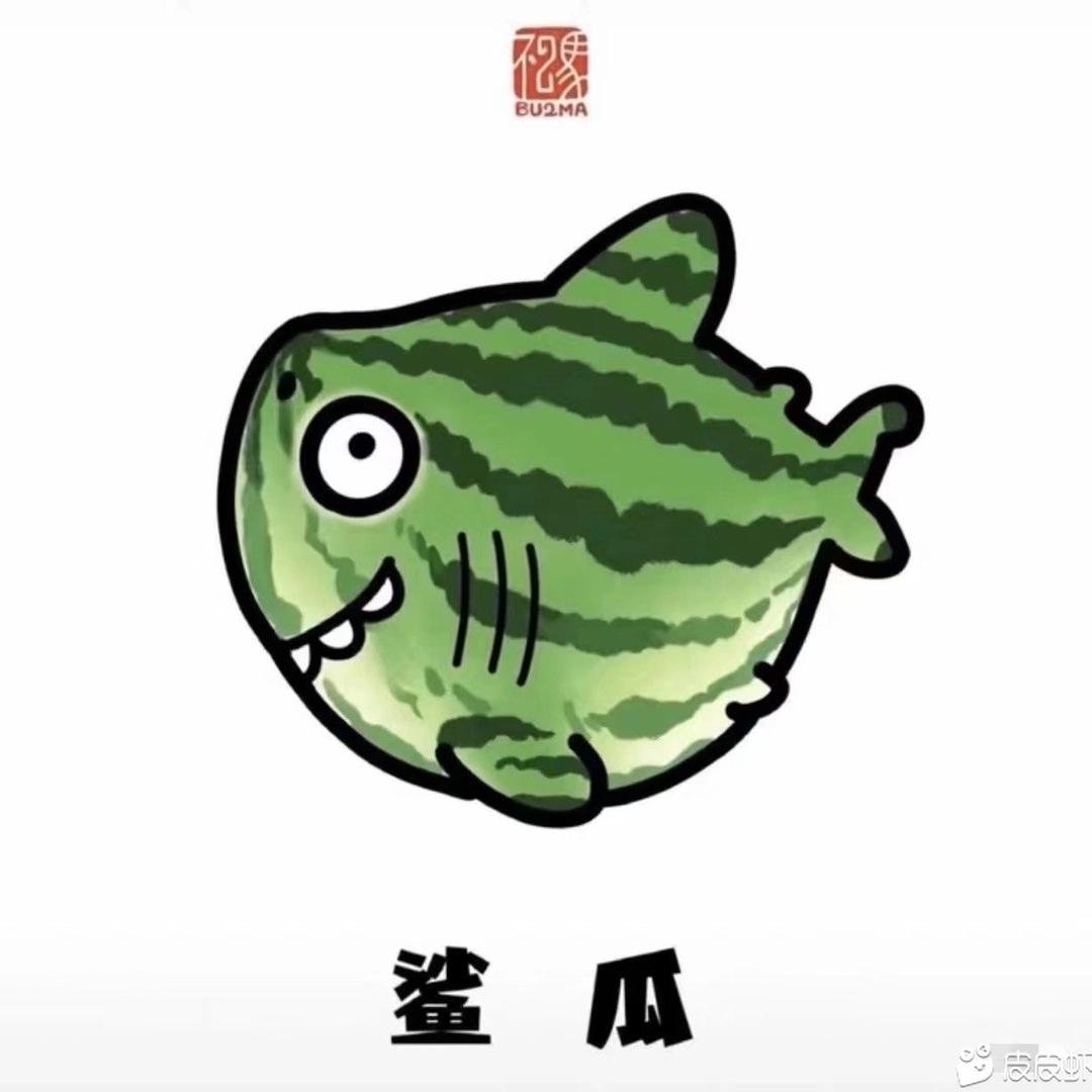 𓆡𓆝𓆟𓆜𓆞𓆝𓆟𓆜𓆞