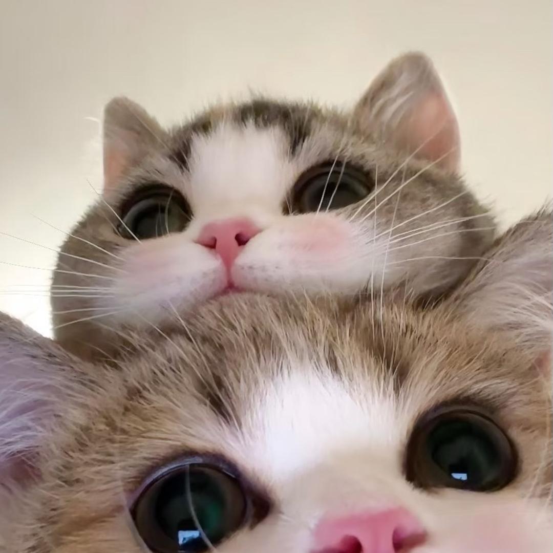 束