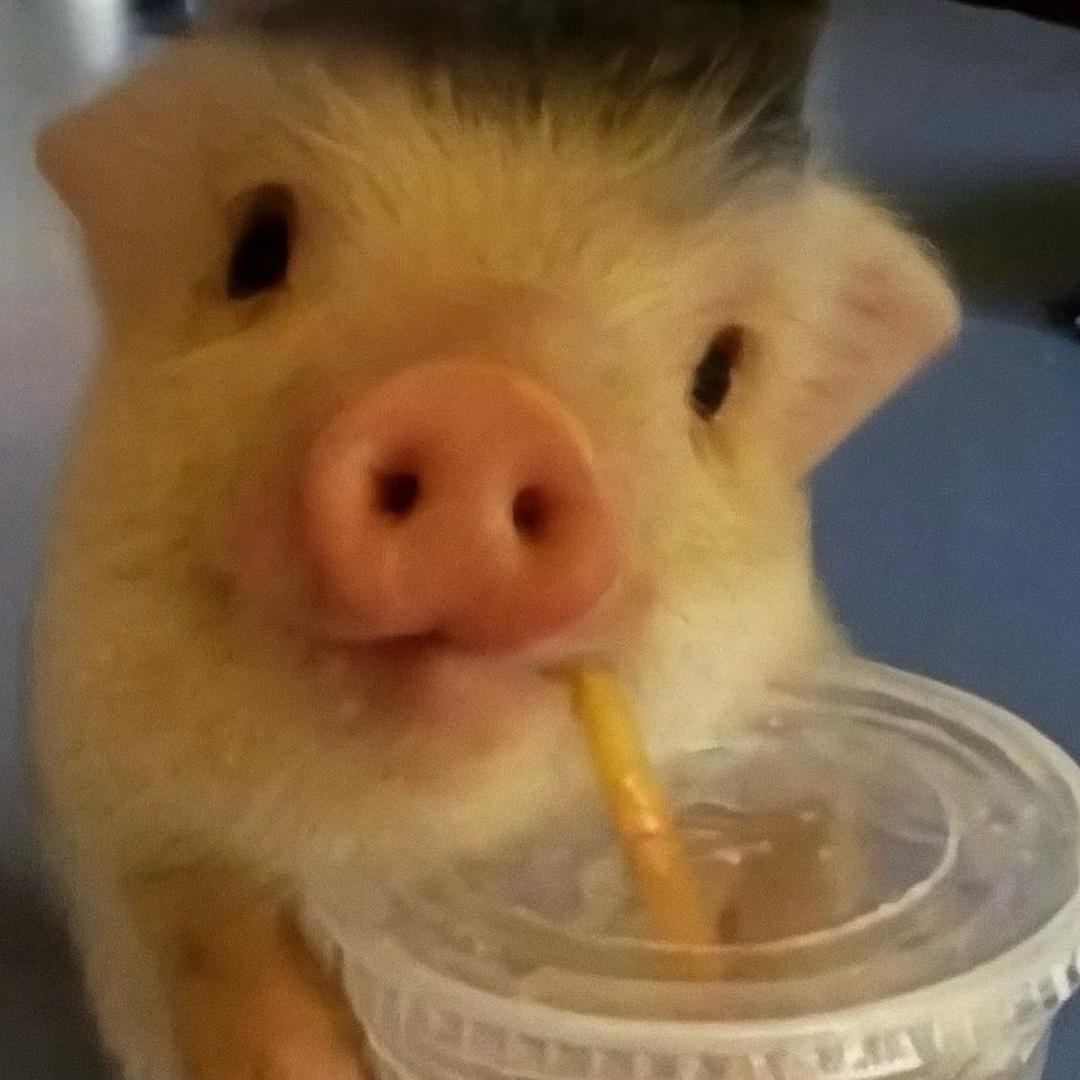 AAA画材批发兔总