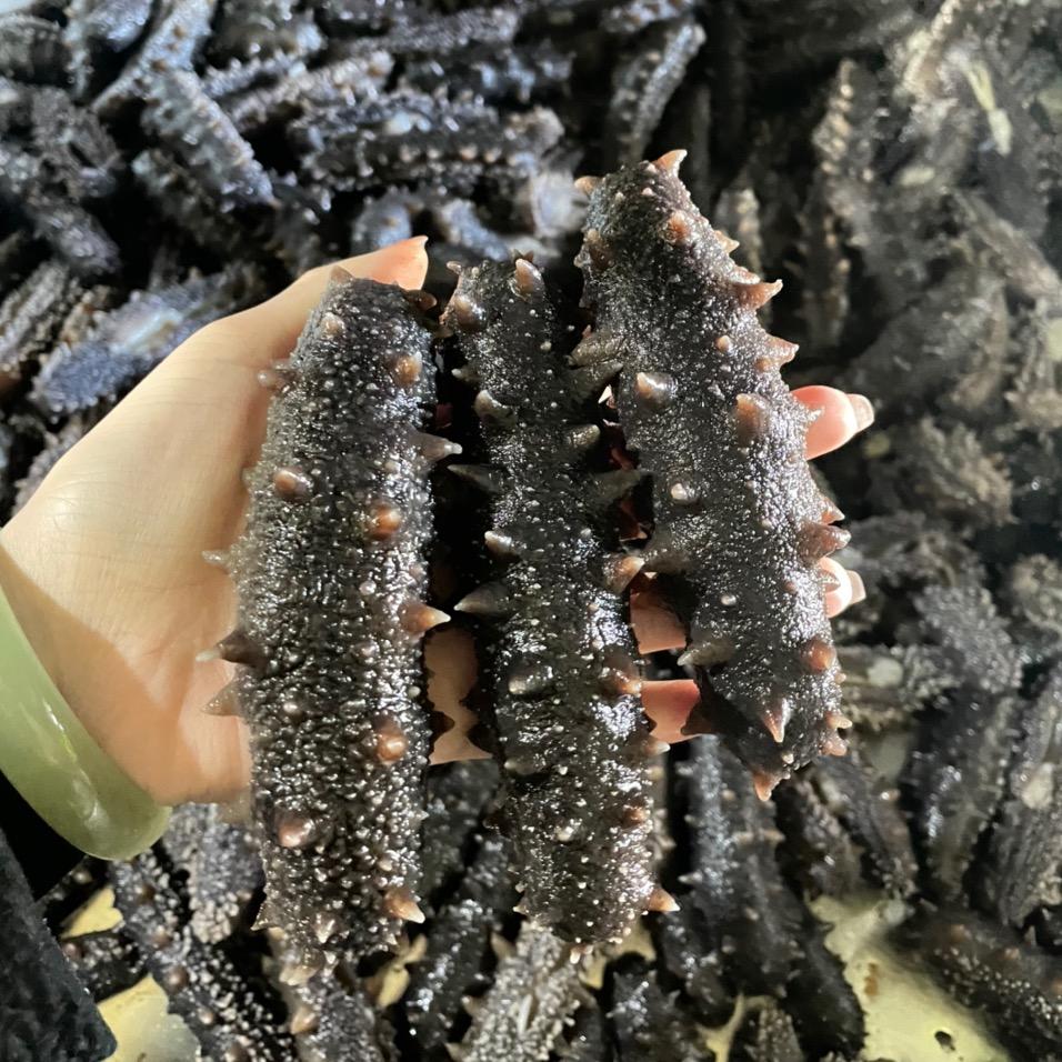 新滕海生鲜旗舰店