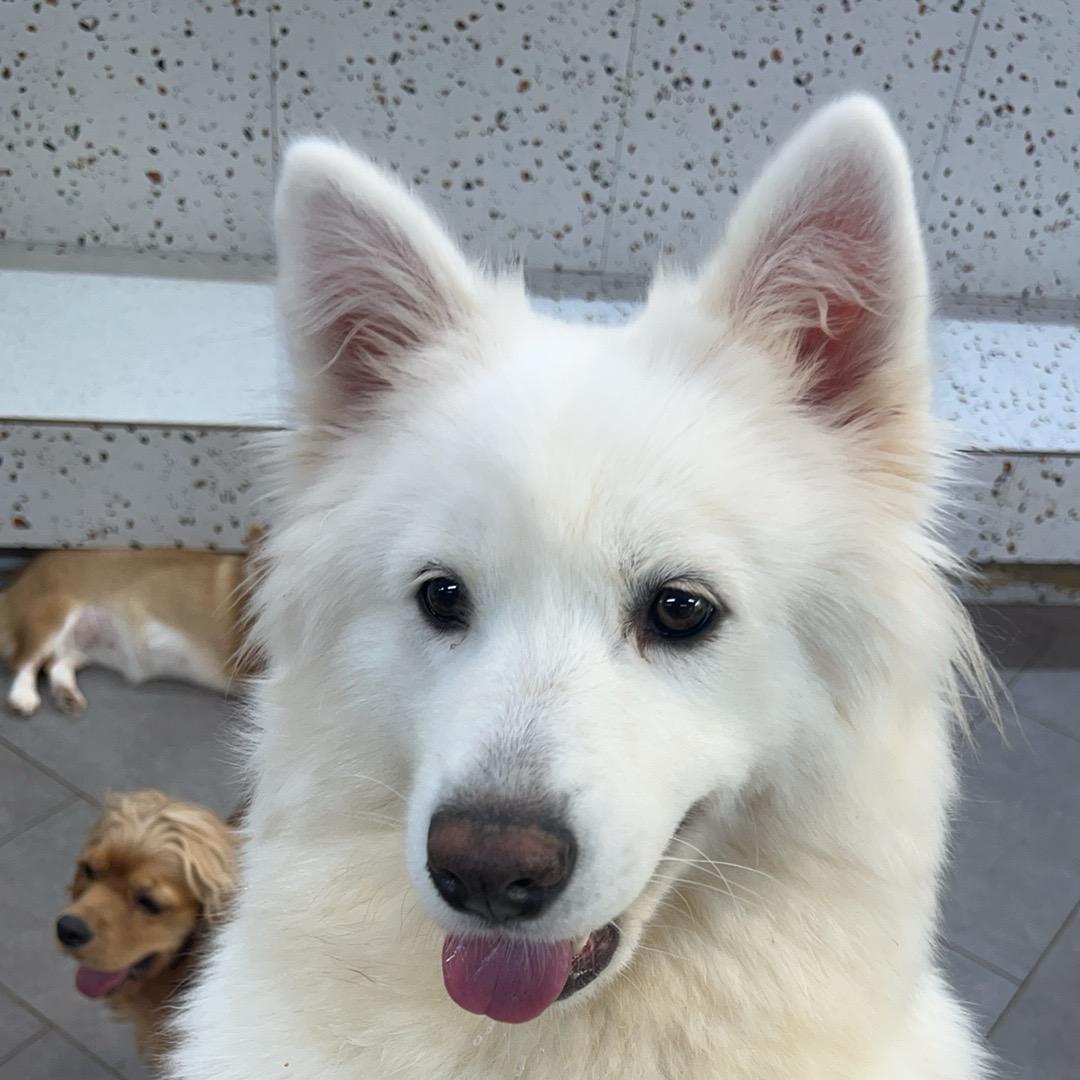 ᥫᩣ阳ᰔᩚ