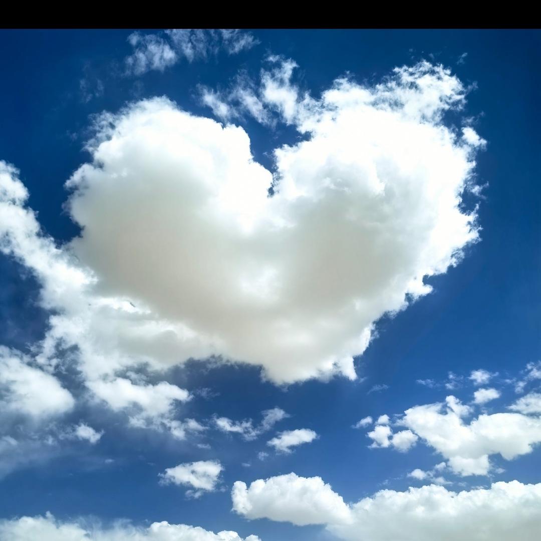 云朵儿—爱唱歌🎤