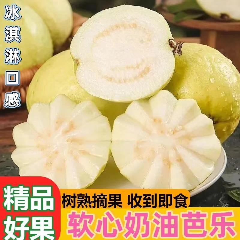 鲜绿纪