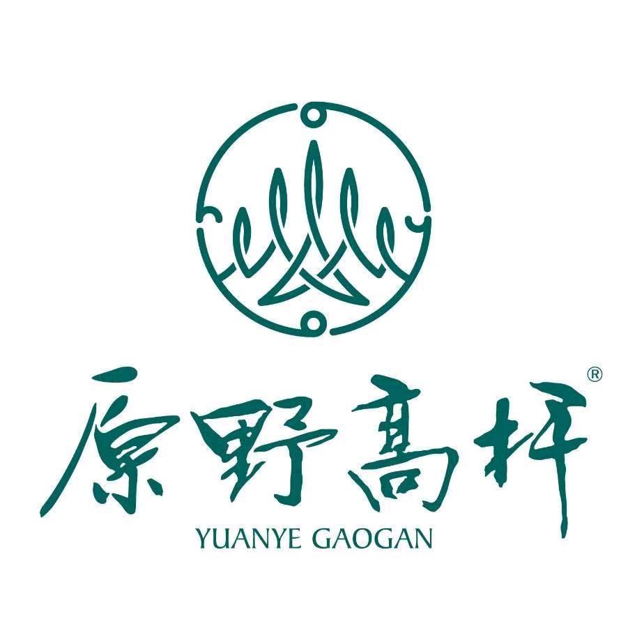 芝士分子
