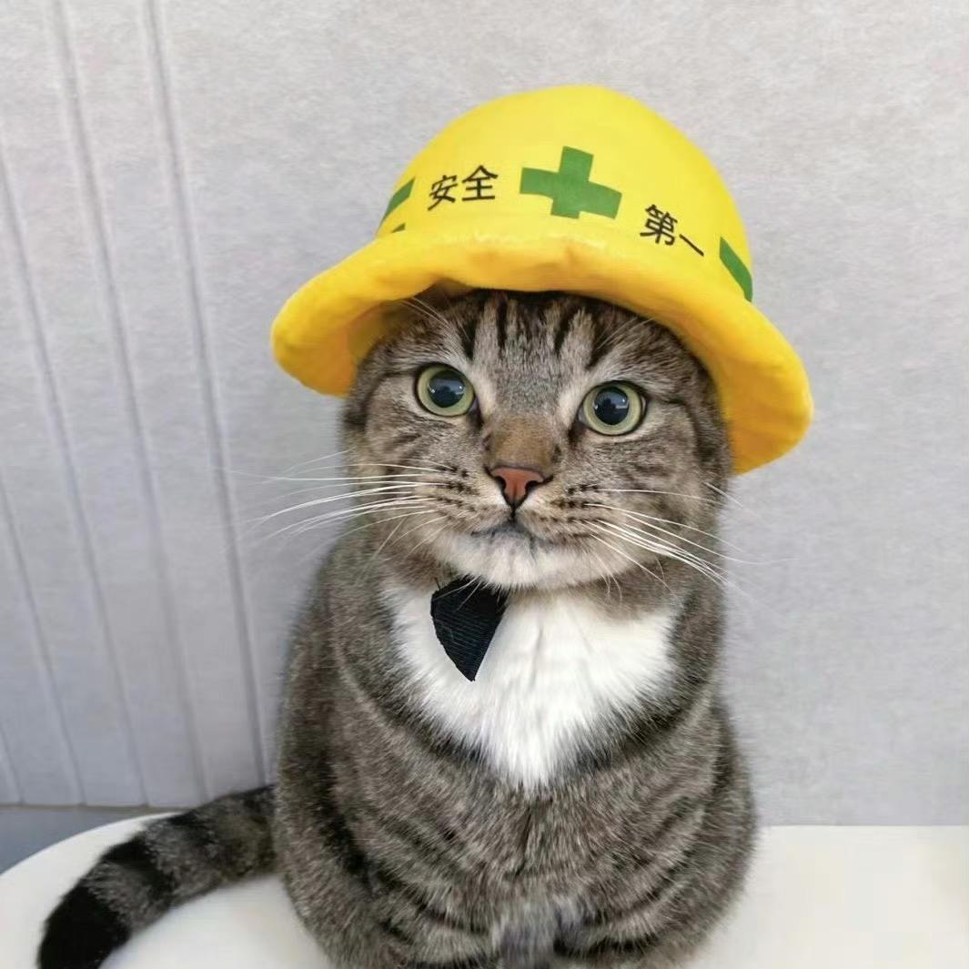 鱼丸%