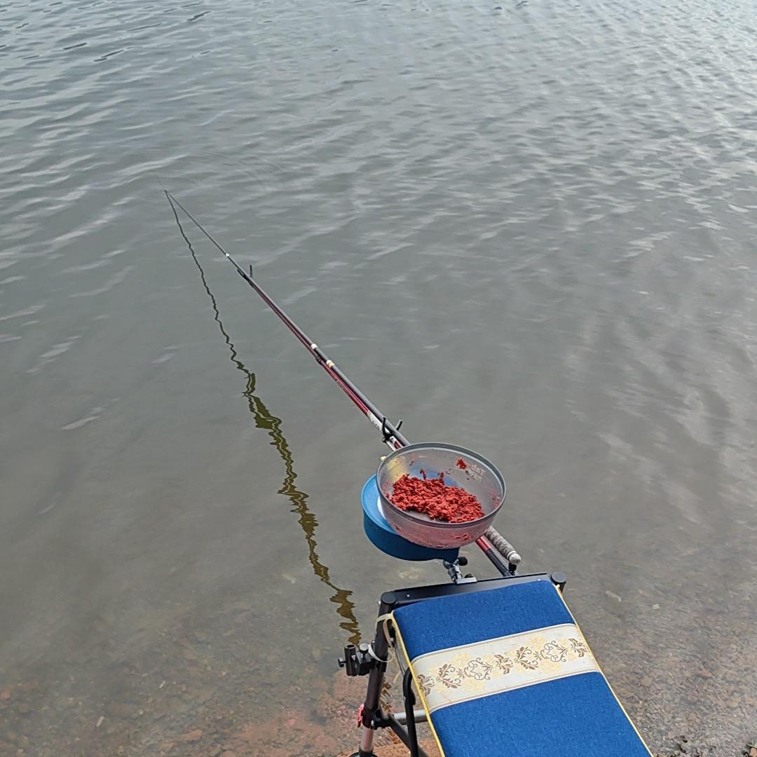 小旗爱钓鱼🎣