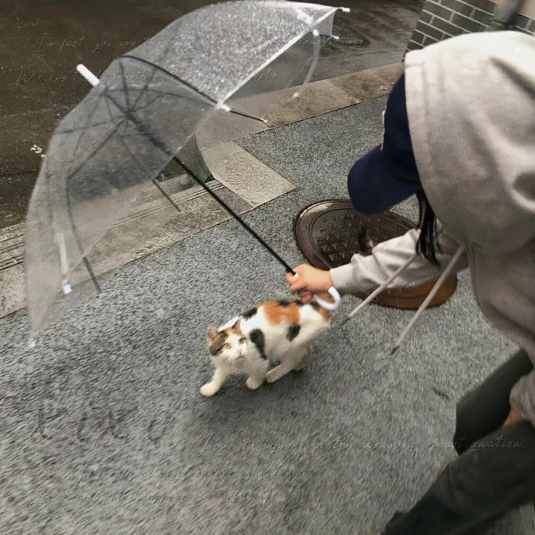 难眠