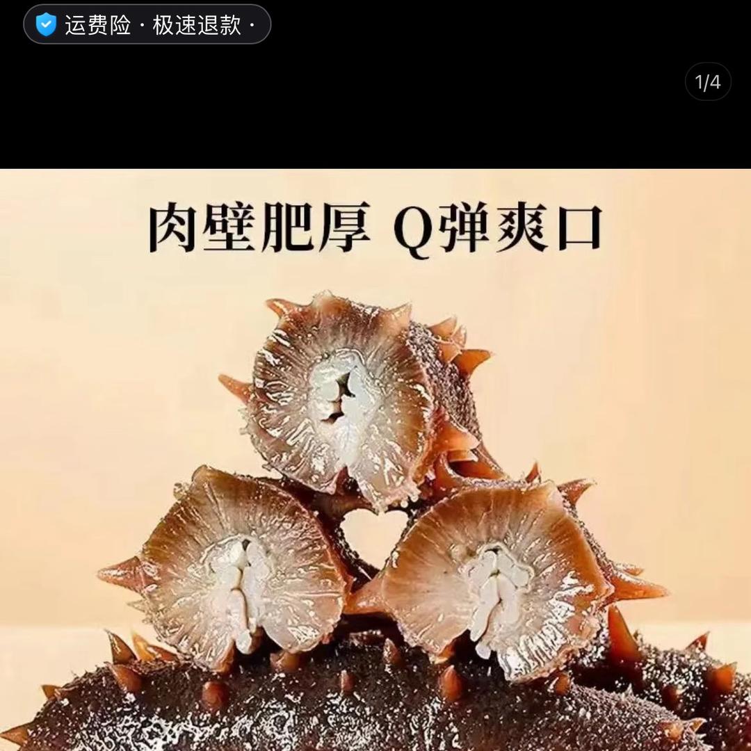 桐福参阁海参精选铺