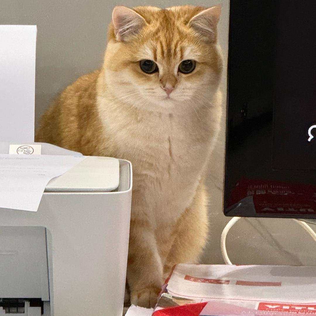 🐈Money的小饭堂（🔝🎁）