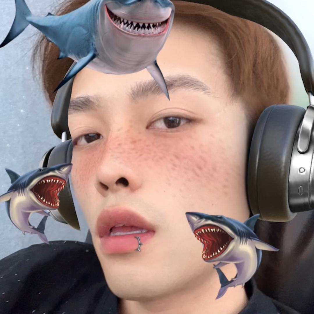 保持L.Z.