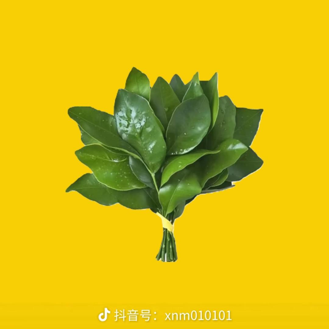 夂覞
